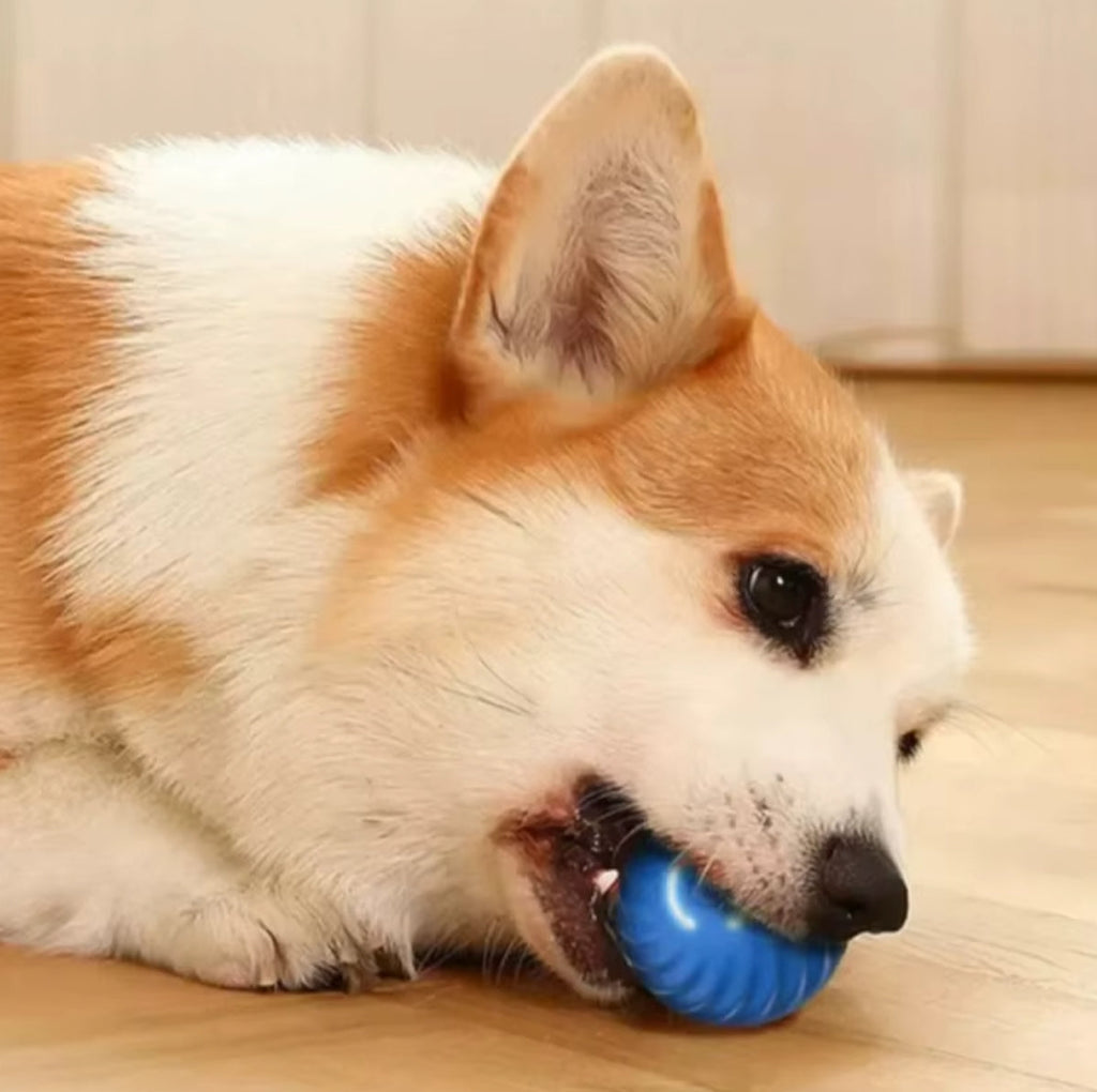 Pelota Interactiva para Perros – Juguete Saltarín Recargable